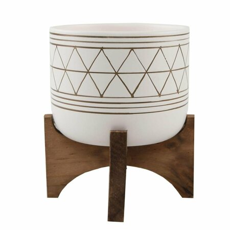 CONSERVATORIO 5&apos; WHITE GOLD GEO W/Wood STAND CO2954967